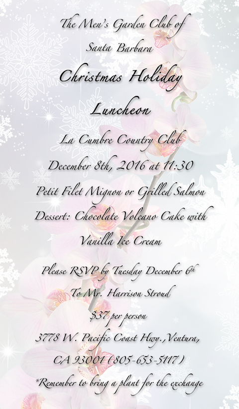 Christmas Luncheon Invitation